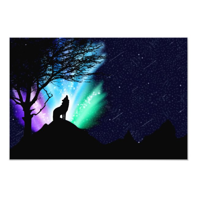 Midnight Howl Fototryck (Framsidan)