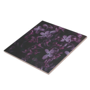 Midnight Lilac Reverie Keramisk Kakel