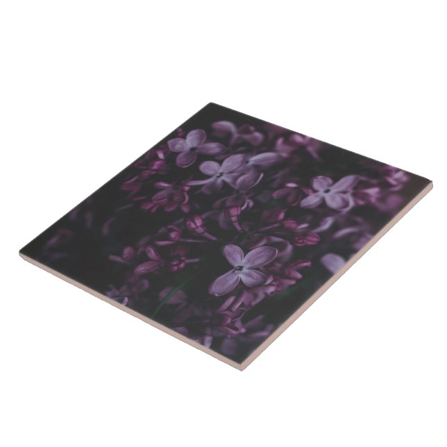Midnight Lilac Reverie Keramisk Kakel (Sidan)