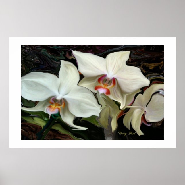’MIDNIGHT MAGIC’ ORCHID PRINT POSTER (Framsidan)