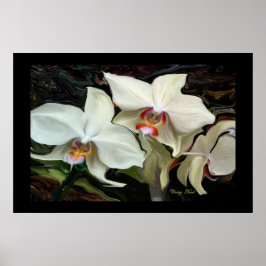 MIDNIGHT MAGIC ORCHID-SKRIV POSTER