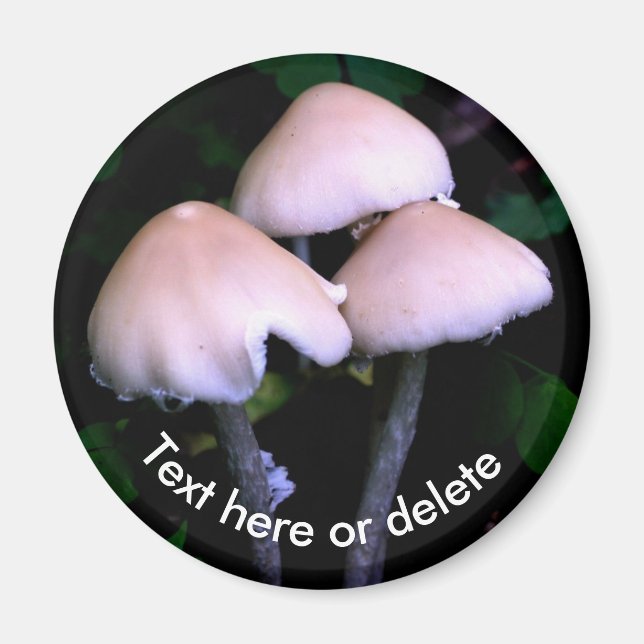 Midnight Mushrooms Nature Personalized Magnet (Framsidan)