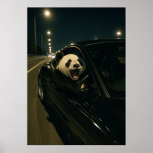 Midnight Ride – Rolig Panda i en Sportbil Vägg A Poster