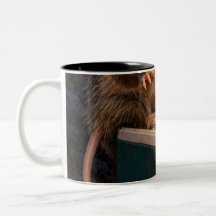 Midnight Snack Inspection Opossum Svart Mugg