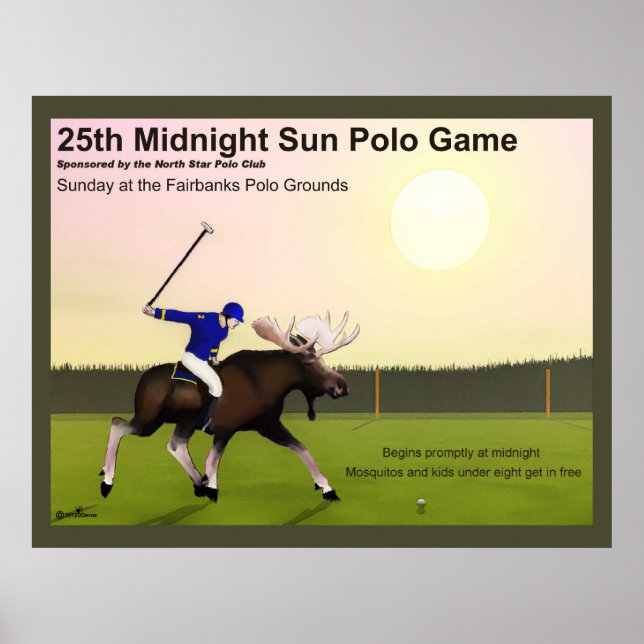 Midnight Sol Polo Poster (Framsidan)