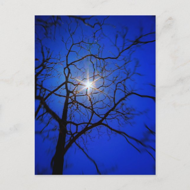 Midnight Sol Vykort (Framsida)