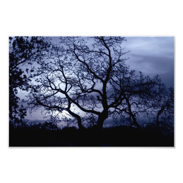 Midnight Sunset Fototryck (Framsidan)