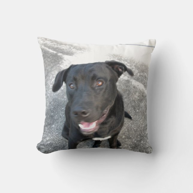 Midnight the Black Lab ler Kudde (Framsida)