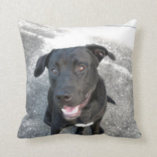 Midnight the Black Lab ler Kudde