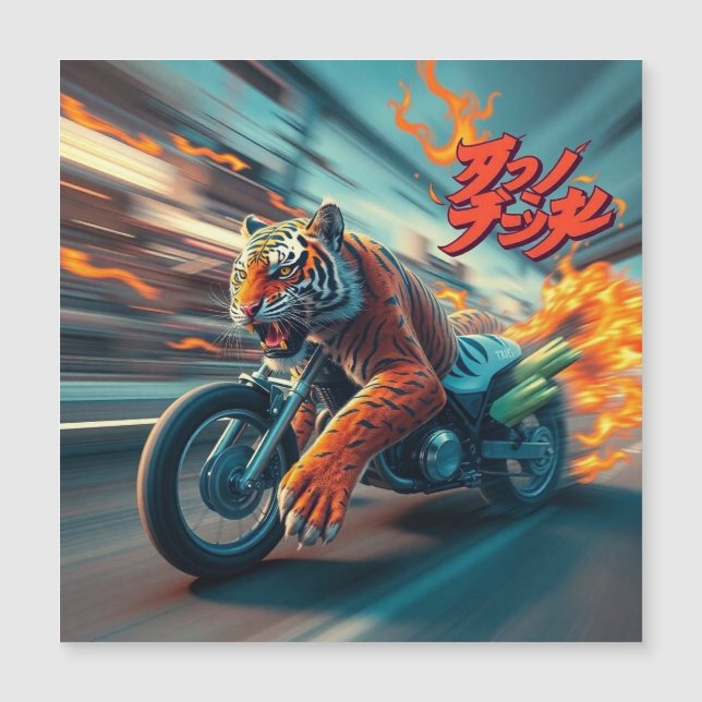 Midnight Tiger Rider (Framsida)