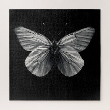 Midnight Wings