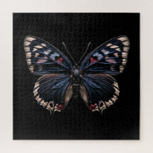 Midnight Wings