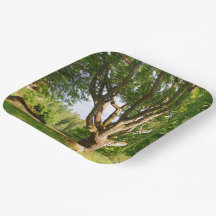 Midsommar Light Småland