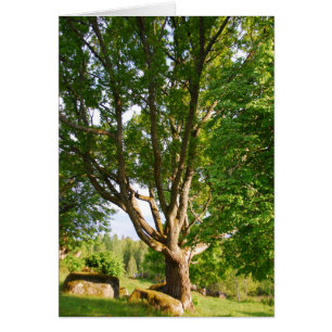 Midsommar Light Småland Hälsningskort