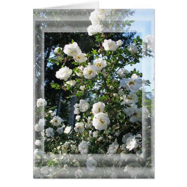 Midsommar Ro Hälsningskort (Framsidan)