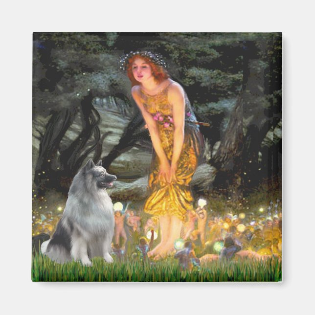 Midsommers Kväll - Keeshond Magnet (Framsidan)