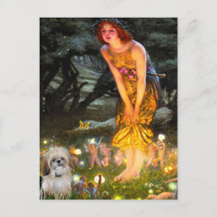 Midsommers Kväll - Shih Tzu (P) Vykort