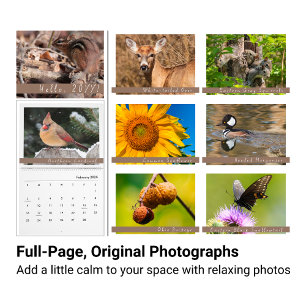 Midwest Backyard Nature Photography Calendar Kalender