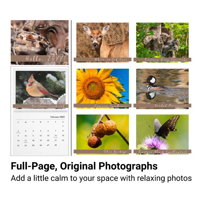 Midwest Backyard Nature Photography Calendar Kalender (Skapare uppladdad)