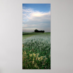 Midwest Farmland Wheat Fält Poster