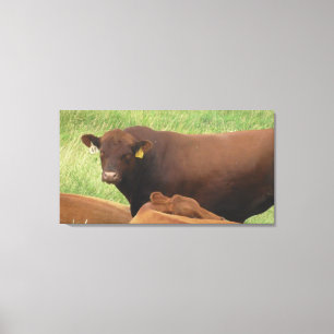 Midwest Ko Fotografering Insvept Canvas Konst