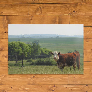 Midwest Photography Vackra kupor och scener Poster