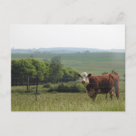 Midwest Photography | Vackra kupor och scener Vykort