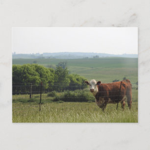 Midwest Photography Vackra kupor och scener Vykort