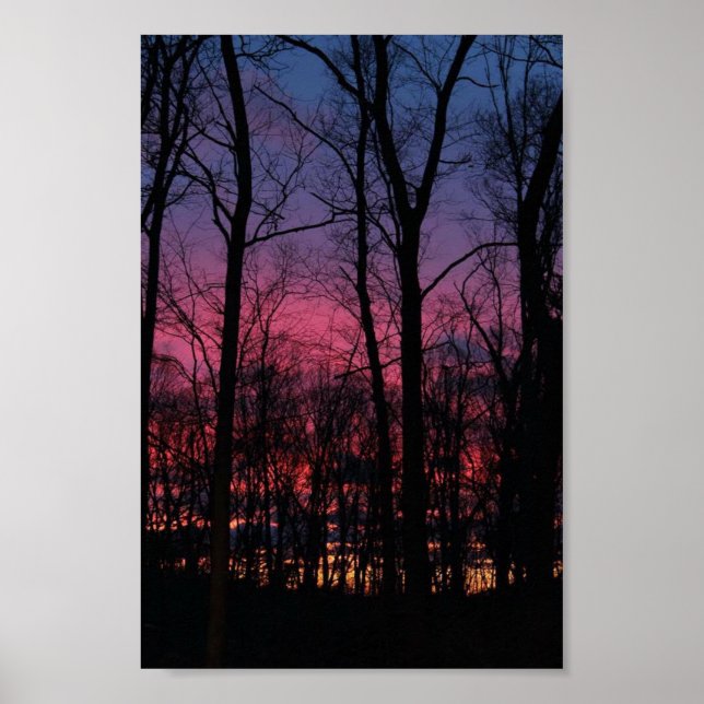 Midwest Sunset genom Träd Poster (Framsidan)