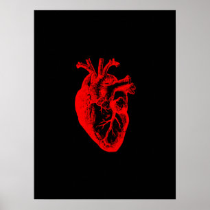 Mig älskar/I anatomi för hjärtahjärta Poster