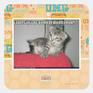 Mig fisar i gen'ral direkshun för yor fyrkantigt klistermärke