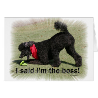 Mig förmiddag chefen hälsningskort