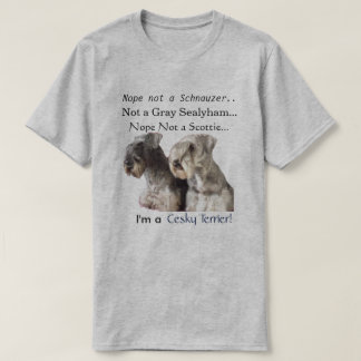 Mig förmiddag en Cesky Terrier T-shirt