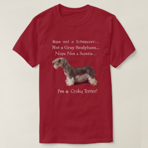 Mig förmiddag en Cesky Terrier T Shirt