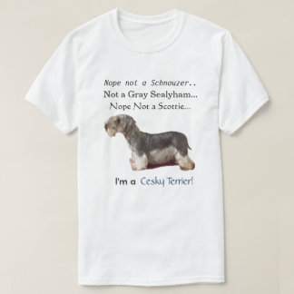 Mig förmiddag en Cesky Terrier Tee Shirt