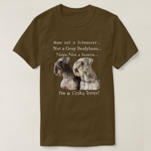 Mig förmiddag en Cesky Terrier Tee Shirt