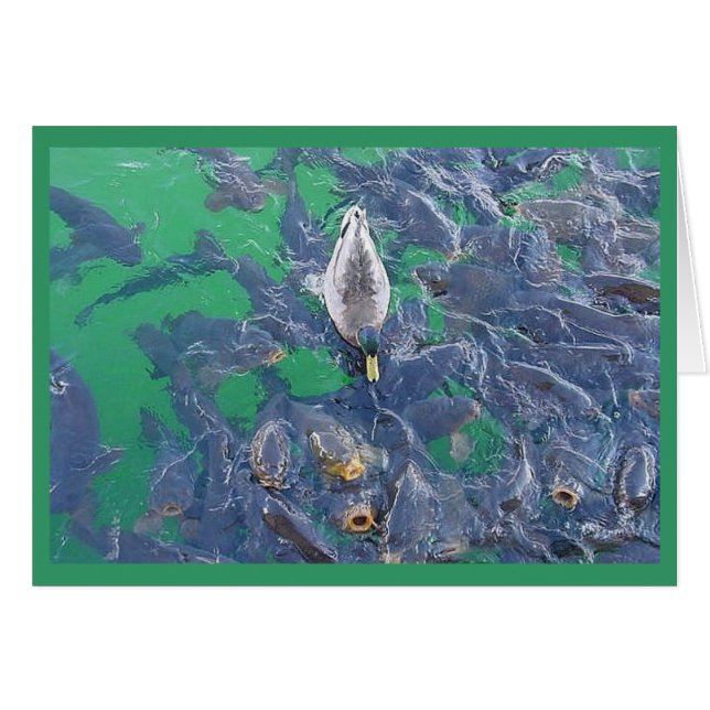 Mig förmiddag en fisk… hälsningskort (Framsidan Horizontal)