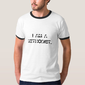 MIG FÖRMIDDAG EN METODIST… TEE SHIRT