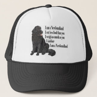 Mig förmiddag en Newfoundland Keps