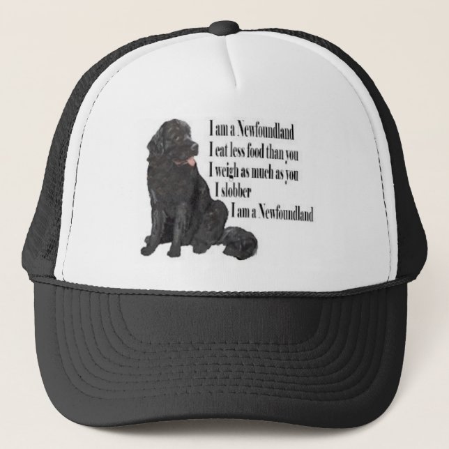 Mig förmiddag en Newfoundland Keps (Framsida)