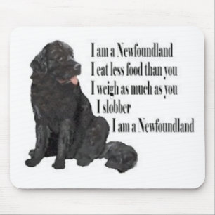Mig förmiddag en Newfoundland Musmatta