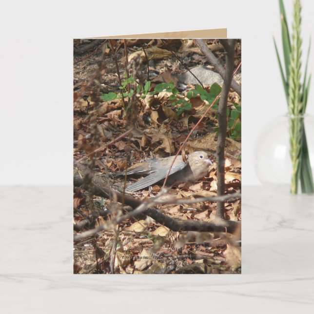 Mig förmiddag ett löv, egentligen kort (Framsida)