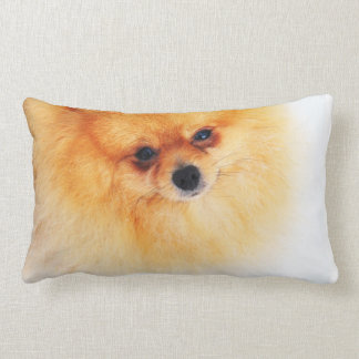 Mig förmiddag här! lumbarkudde