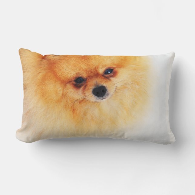 Mig förmiddag här! lumbarkudde (Framsida)