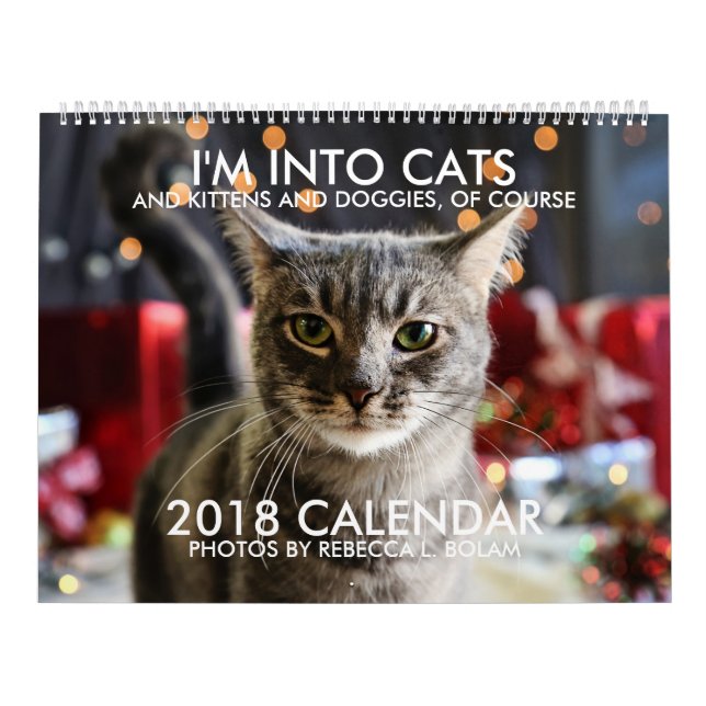 Mig förmiddag IN I KALENDER för KATTER 2018 av (Omslag)