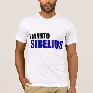 Mig förmiddag in i Sibelius Tee