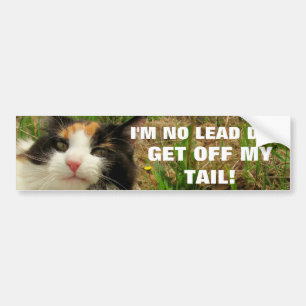 Mig förmiddag ingen bly- hundkatt Meme Bildekal