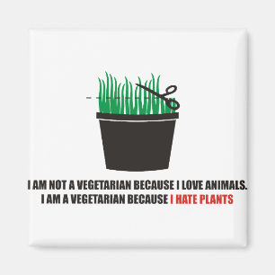 Mig förmiddag inte en vegetarian, därför att ja magnet