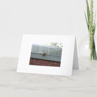 mig förmiddag som håller ögonen på dig kort