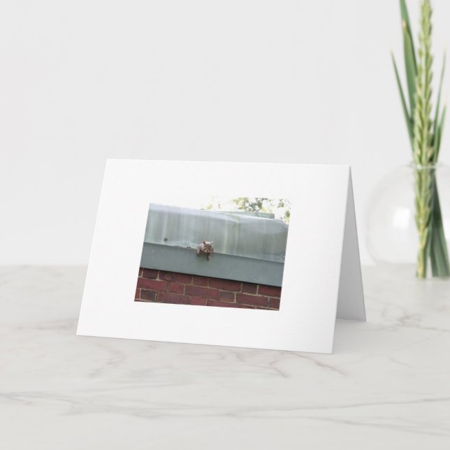 mig förmiddag som håller ögonen på dig kort (Framsida)